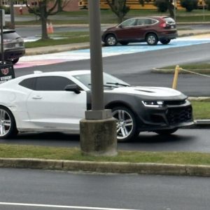 Initial Suspect Cleared of Involvement in Leesburg Reckless Driving Incidents