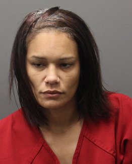 Routine Traffic Stop in Leesburg Leads to Drug Arrest