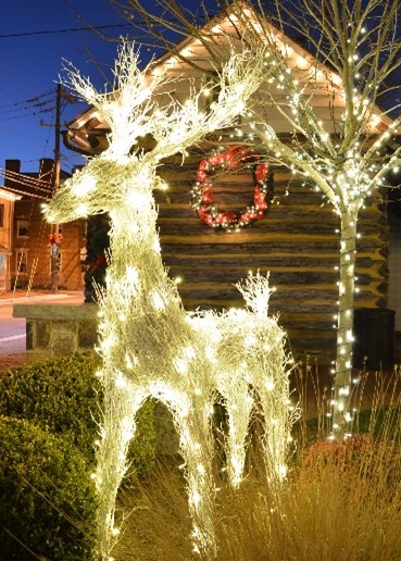 Light Show Returns to List of Holiday Events in Leesburg