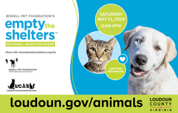Animal Services Hosts “Empty the Shelters” Fee-Waived Adoption Event May 11