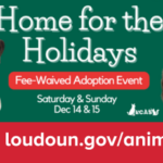 ‘Home for the Holidays’ Fee-Waived Adoption Event December 14 &15