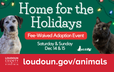 ‘Home for the Holidays’ Fee-Waived Adoption Event December 14 &15