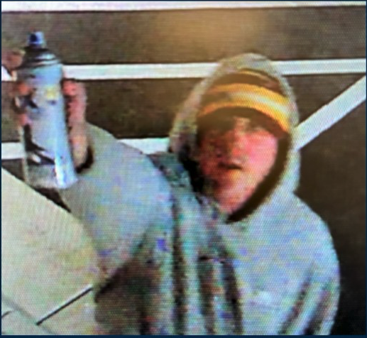 Leesburg Police Seek Graffiti Suspect