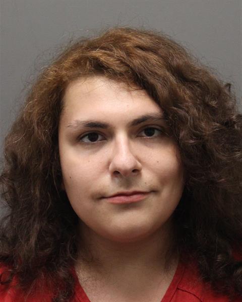 Former Leesburg Resident Charged with Possessing Child Sexual Abuse Images