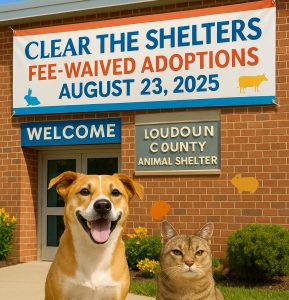 Free Pet Adoptions at Loudoun Shelter August 23 as Part of Nationwide “Clear the Shelters” Event