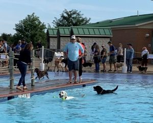 Let the Dogs Dive In: Annual Swim Returns to Symington Pool