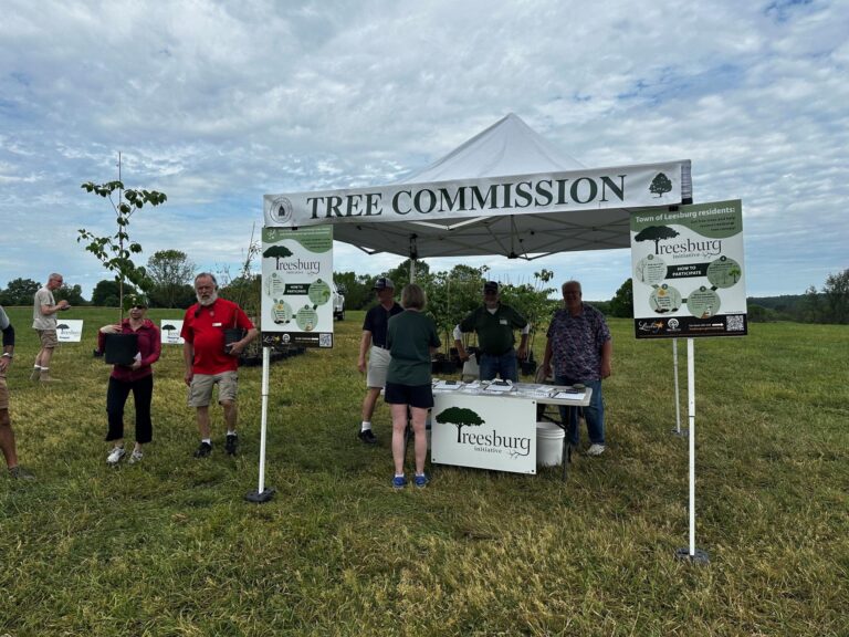 Free Native Trees at Ida Lee Park: Leesburg’s Fall Giveaway Returns Nov. 1