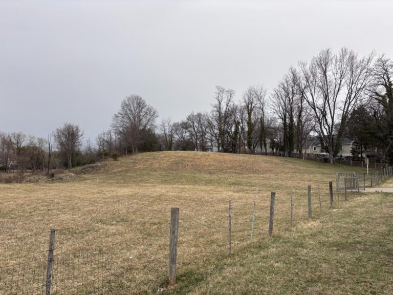Famous “Meadow Hill” Sledding Spot Could Become Permanent Leesburg Park