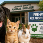 Looking for a New Best Friend? Loudoun Shelter Offers Free Pet Adoptions May 8–10