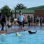 Leesburg’s Annual Dog Swim Returns to AV Symington Sept. 12